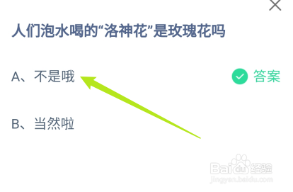 蚂蚁庄园：人们泡水喝的“洛神花”是玫瑰花吗