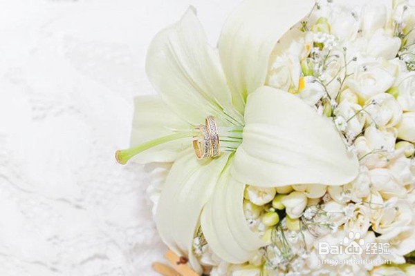 百合叶子发黄怎么解决