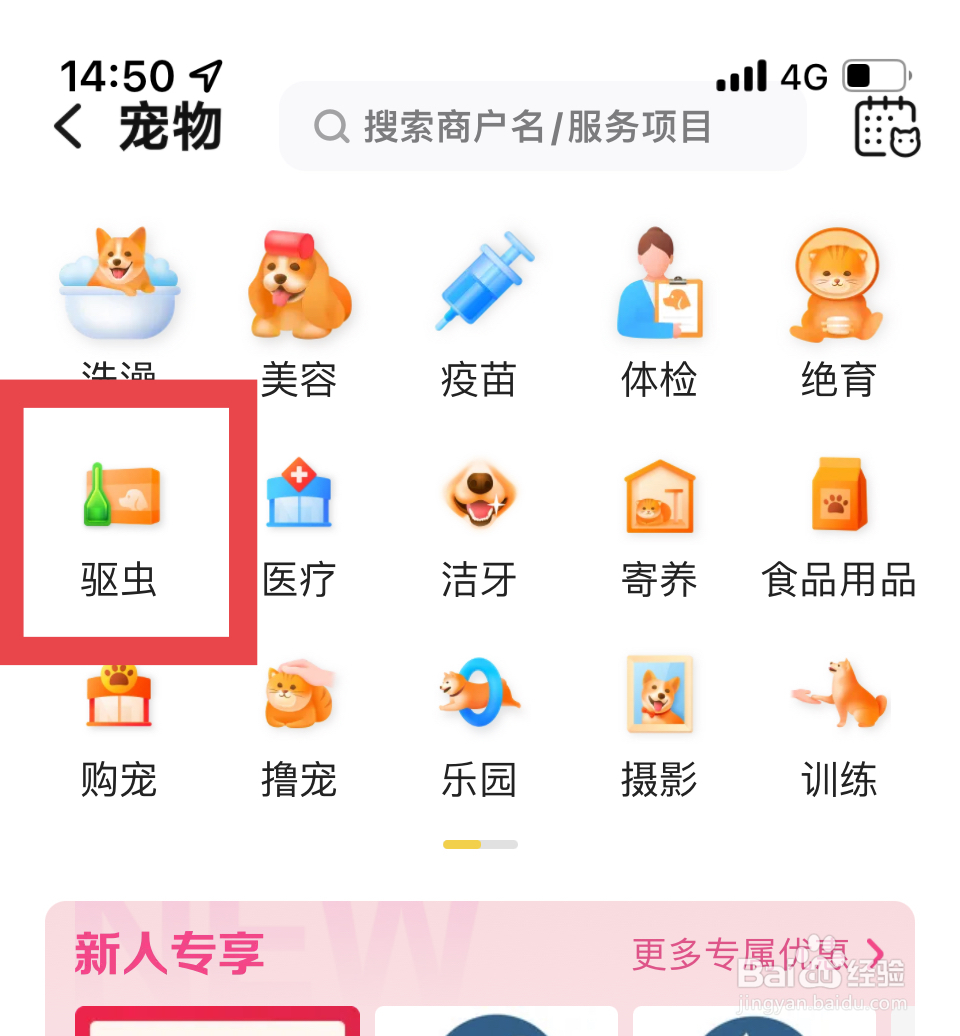 宠物驱虫,你真的知道怎么驱虫吗?