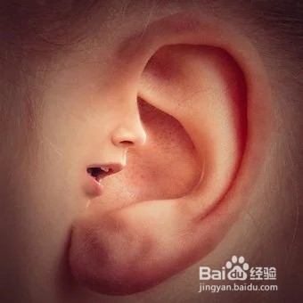 治疗耳鸣的方法