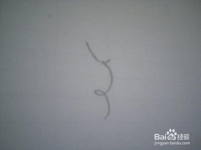 简笔画喇叭花：