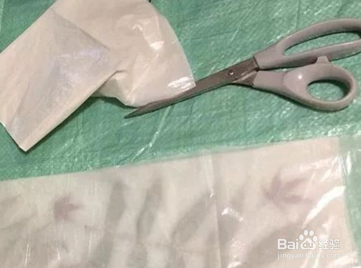 植物转印染方法