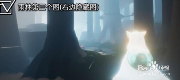 光遇1月21日雨林大蜡烛位置攻略（二）