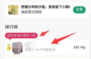 支付宝码上双11活动怎么参加领取红包？