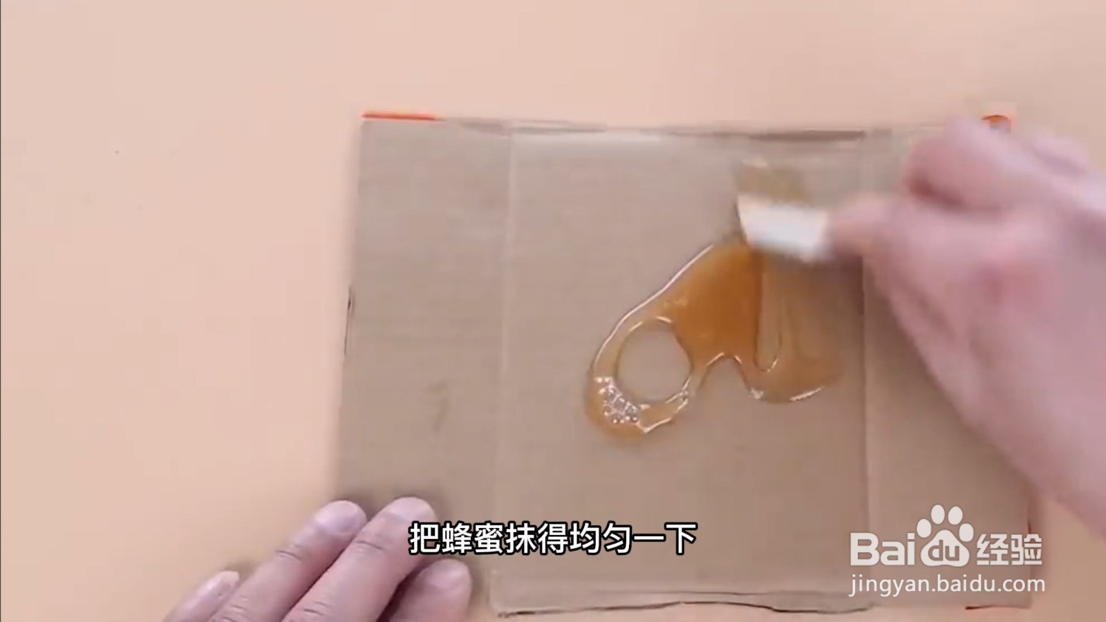 家中如何防治白蚁