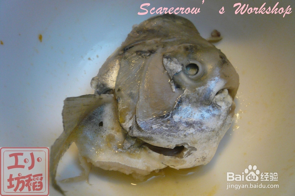 【天凉吃火锅】斗鲳鱼火锅