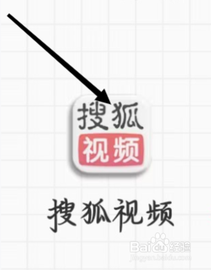 搜狐视频怎样进行查看我的ID