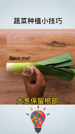 蔬菜种植小技巧