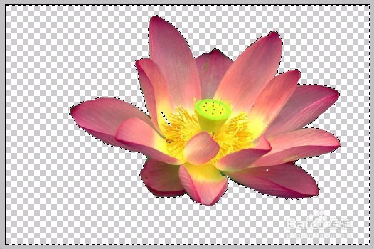 PS图层蒙版的应用