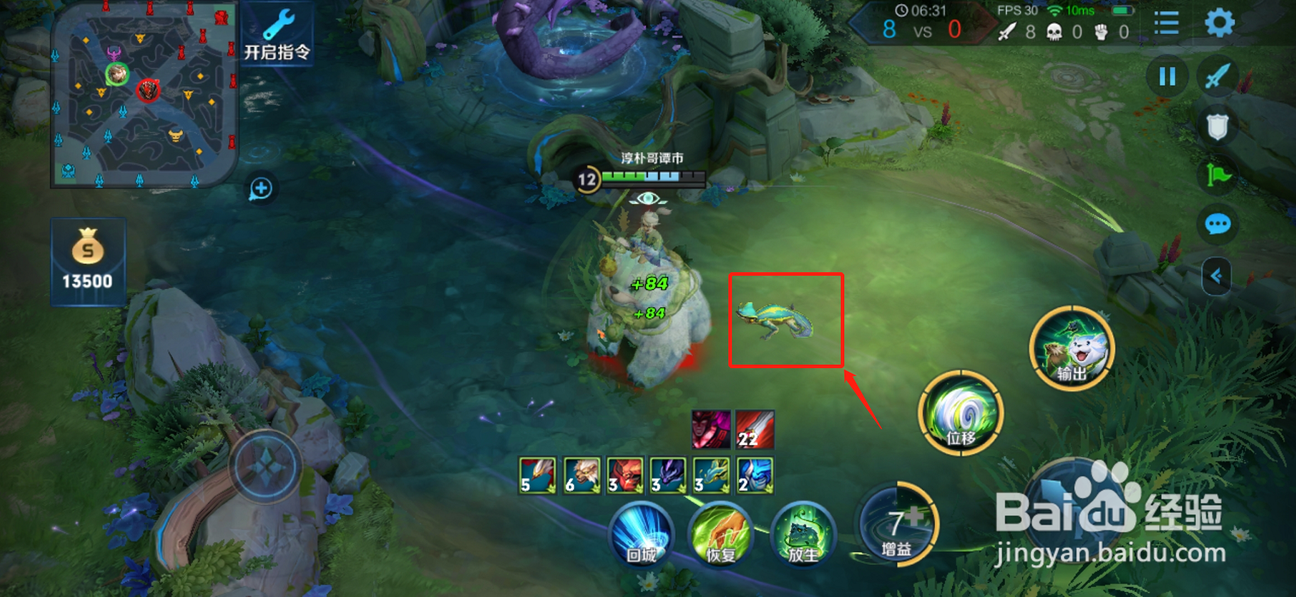 阿古朵怎么放生野怪