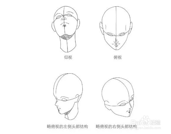 漫画人物头部不同角度绘画方法