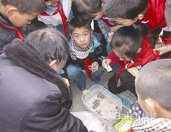 第一节课如何吸引学生