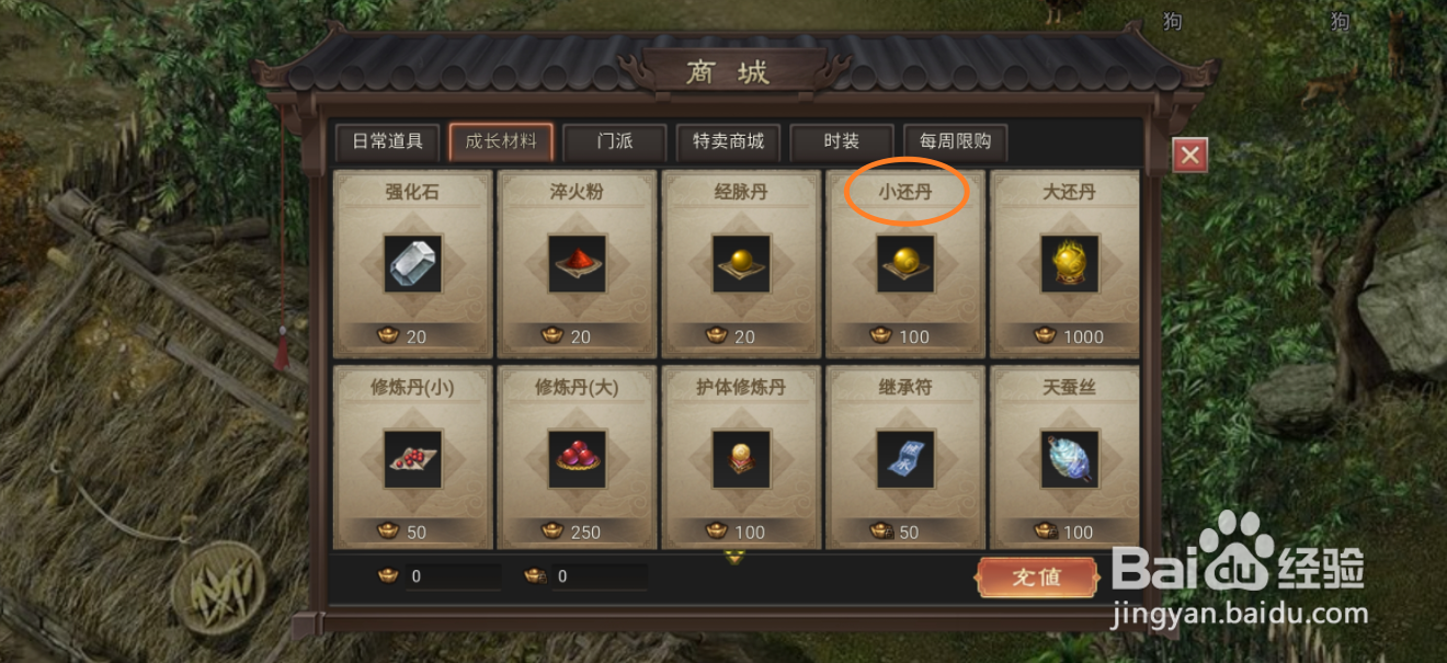 在武林霸业中哪里可以买到小还丹