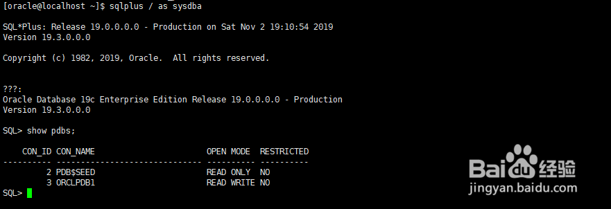 CentOS7使用yum安装Oracle19c