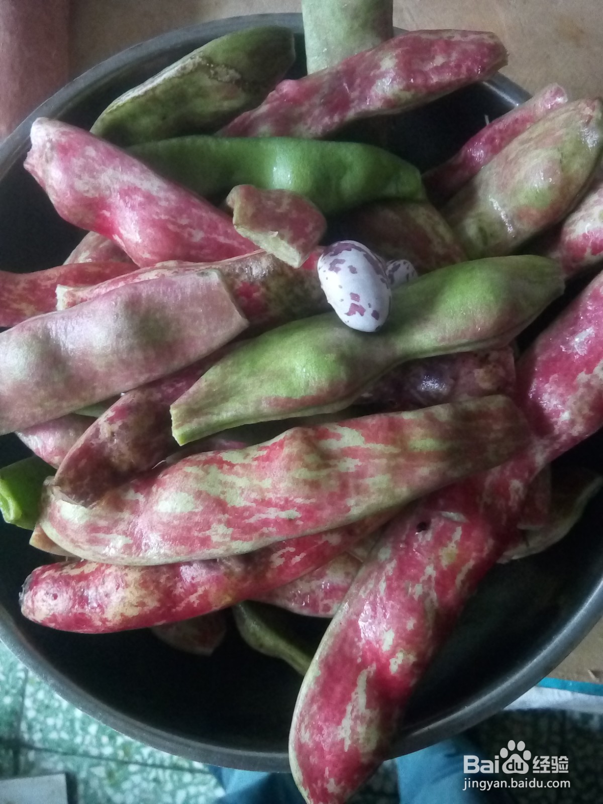 家常菜地瓜炖豆角