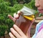 鉴别蜂蜜真假的方法大全