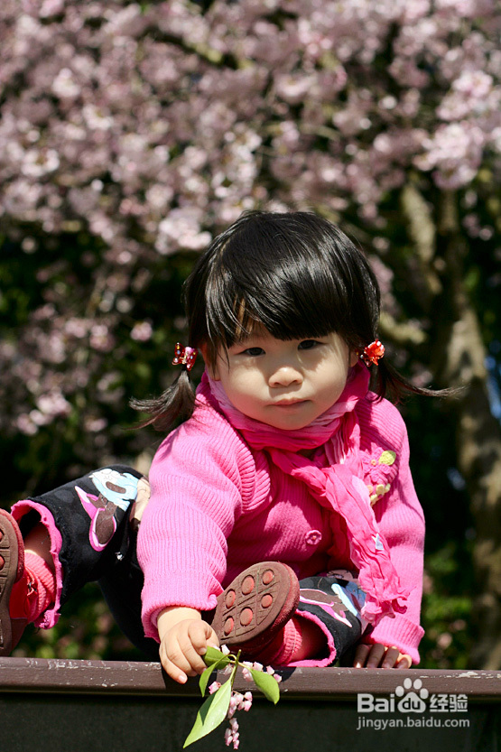 菲比带你看加国--空中列车&樱花（图）