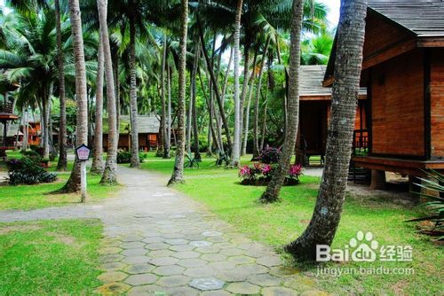 海南椰岛东郊小镇游记