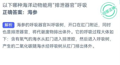 哪种海洋动物用排泄器官呼吸？神奇海洋1.11答案