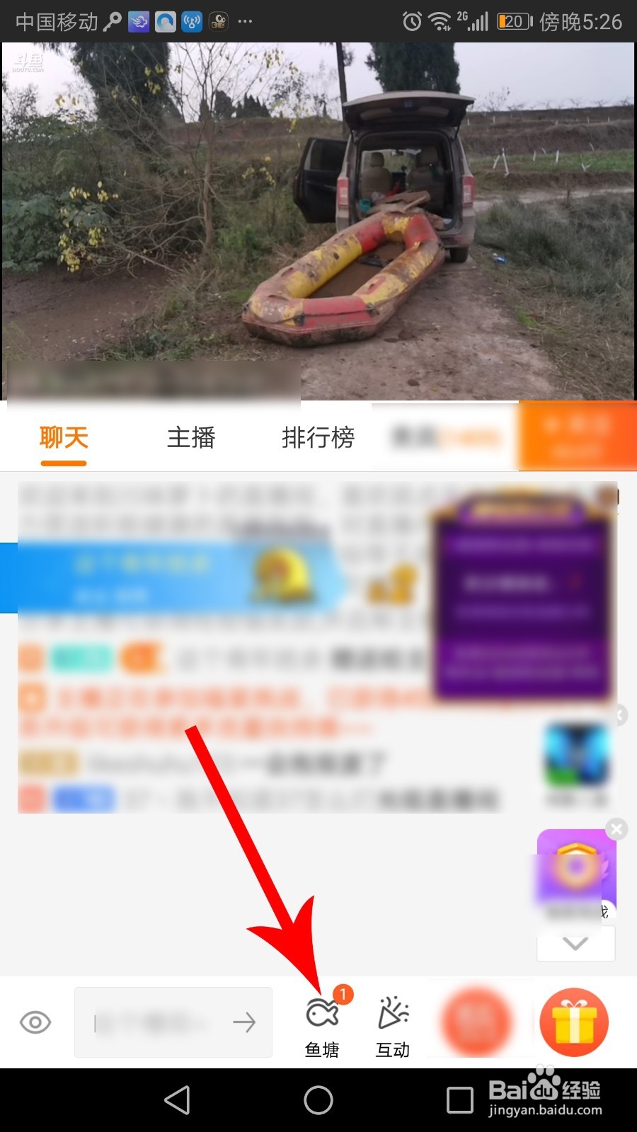斗鱼鱼粮有什么用