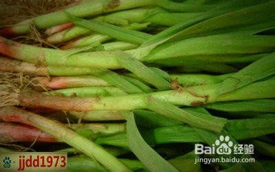 要想身体好,就得常吃这两种蔬菜