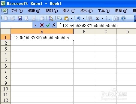 怎么在Excel表格中输入有效的一长串数字