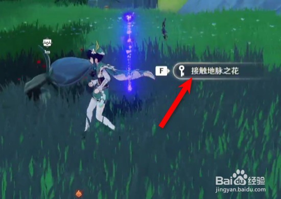 原神地脉之花攻略