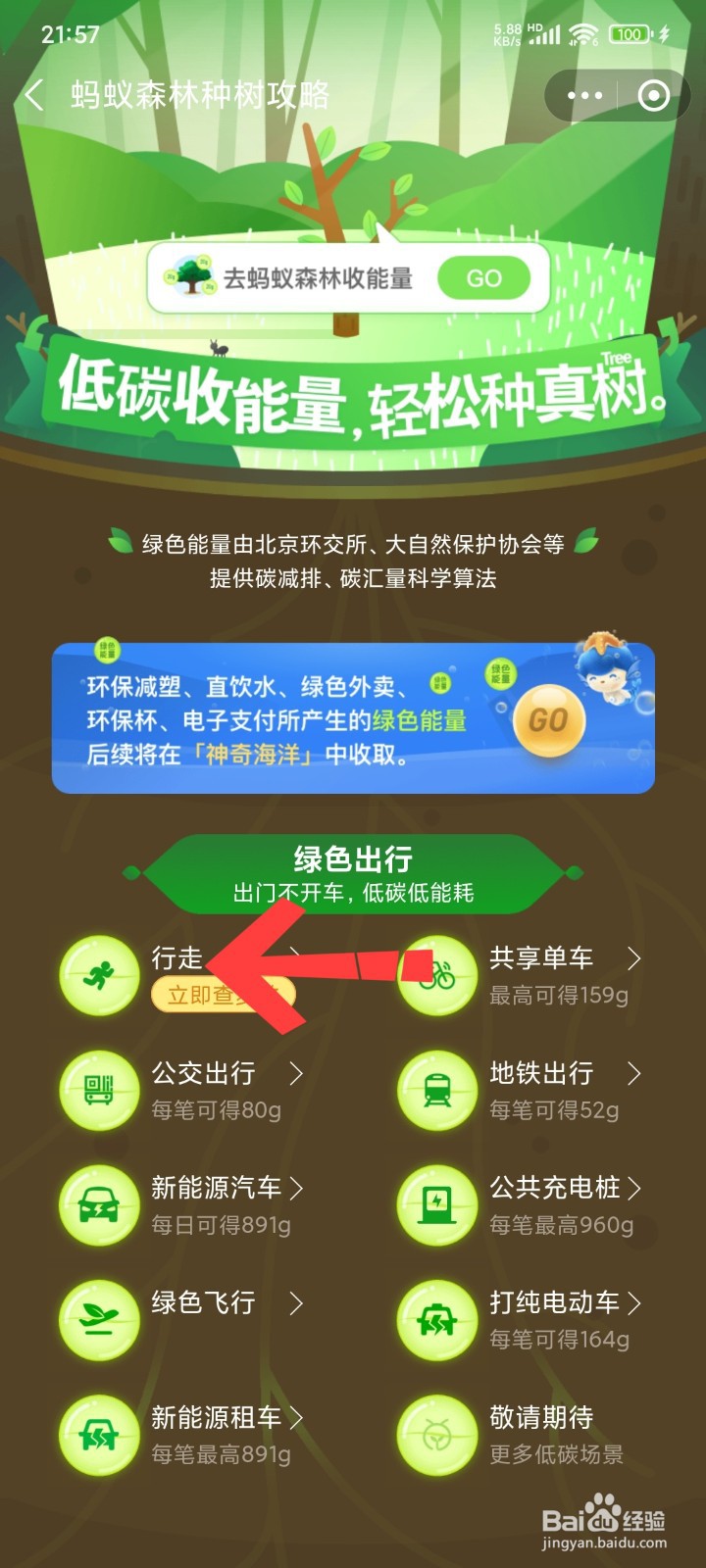 蚂蚁森林怎么开启步数产生能量