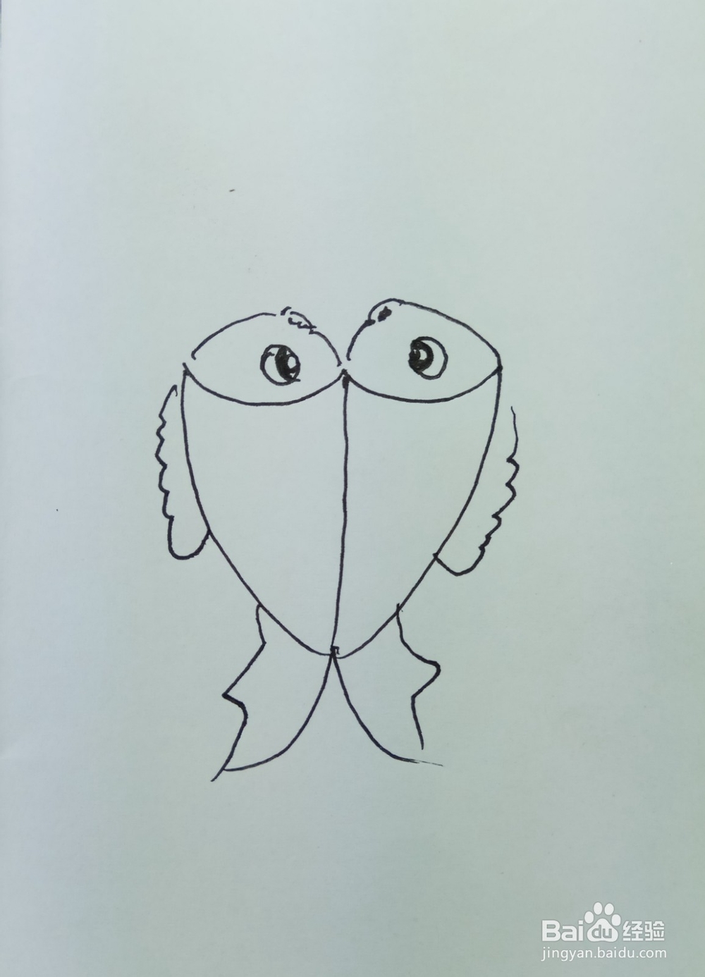 怎样画简笔画两只鱼