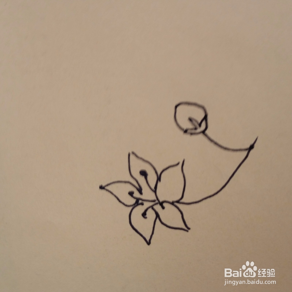 桔梗儿童手工简笔画教程