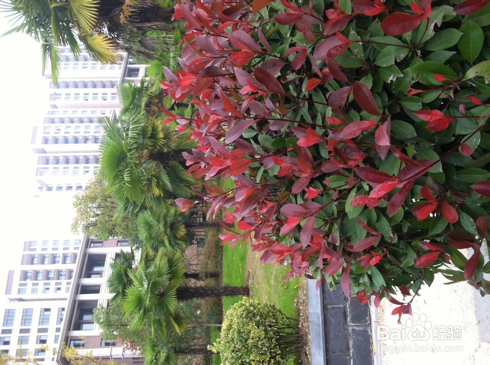 如何在冬季进行早锻炼，让心情愉悦