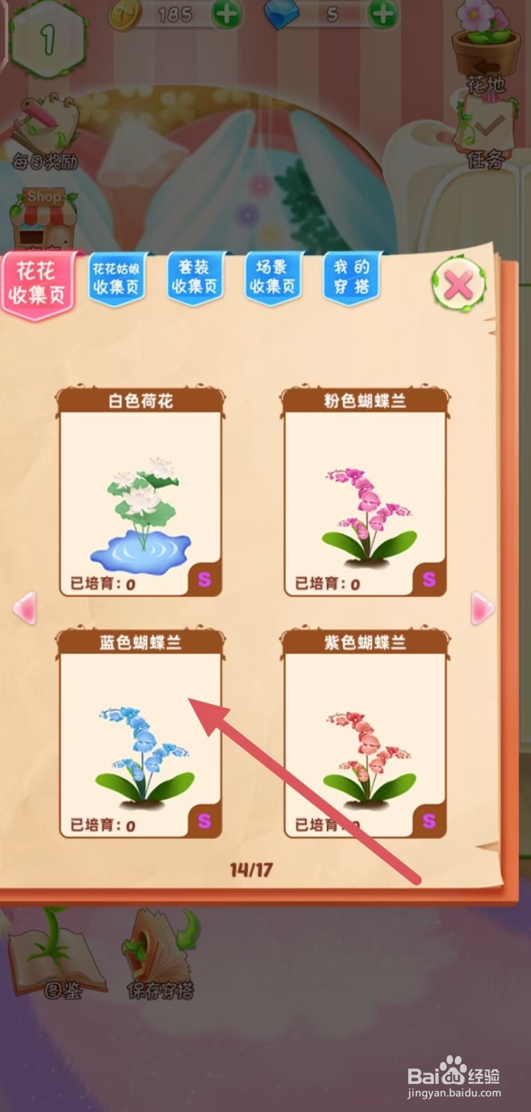 花花姑娘怎么查看蓝色蝴蝶兰的生长速度