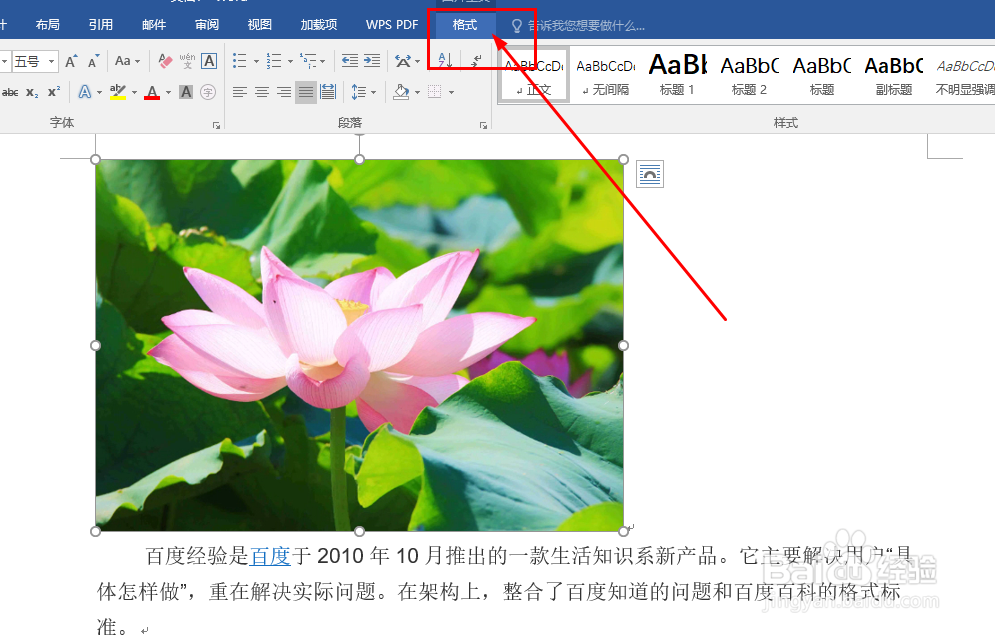 Word中如何设置图片排版样式
