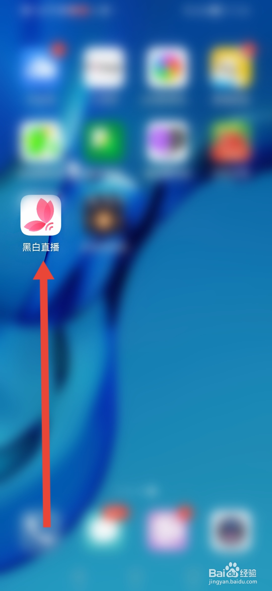 黑白直播怎么申请开票