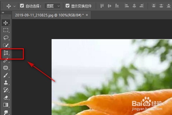 Ps如何裁剪图片