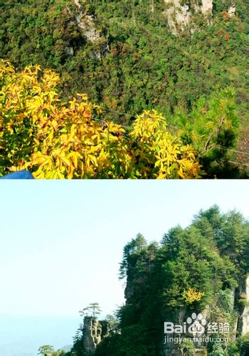 张家界散客自助游之好处