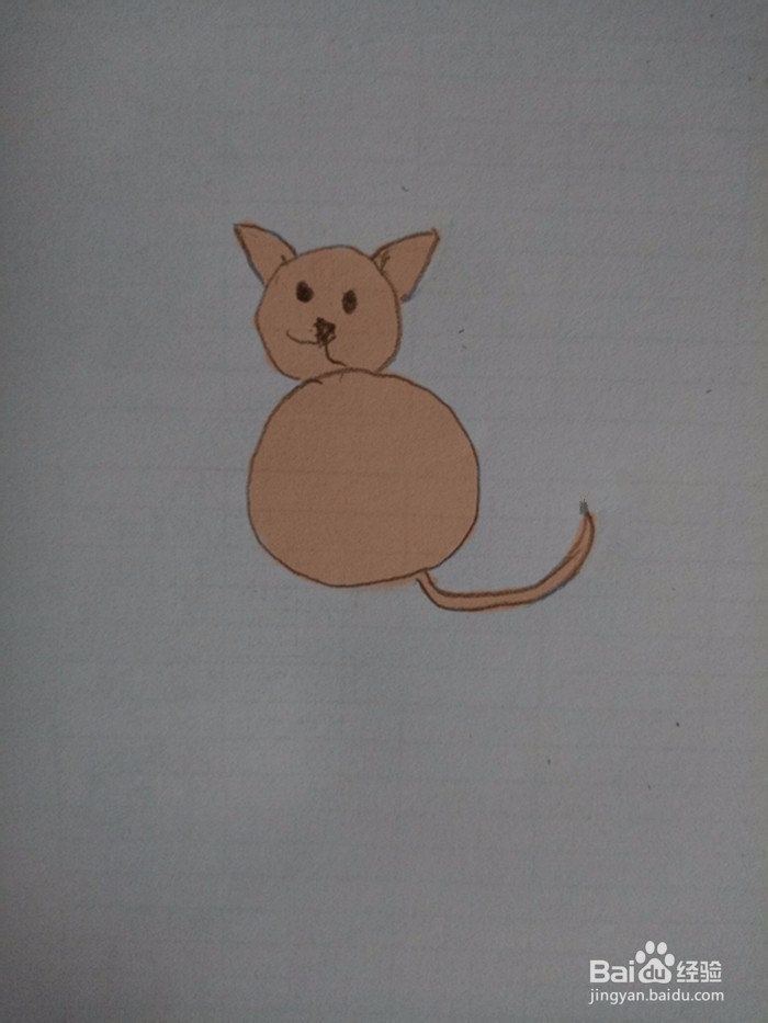猫咪的简笔画