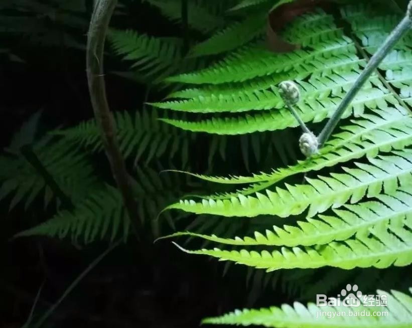 如何才能让自己的人生变得意义非凡？