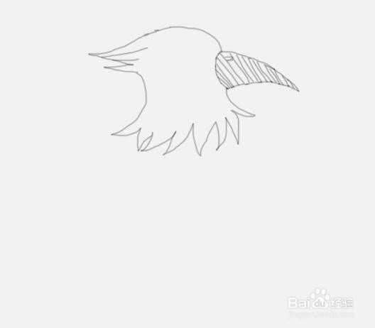 简笔画啄木鸟是怎么画的