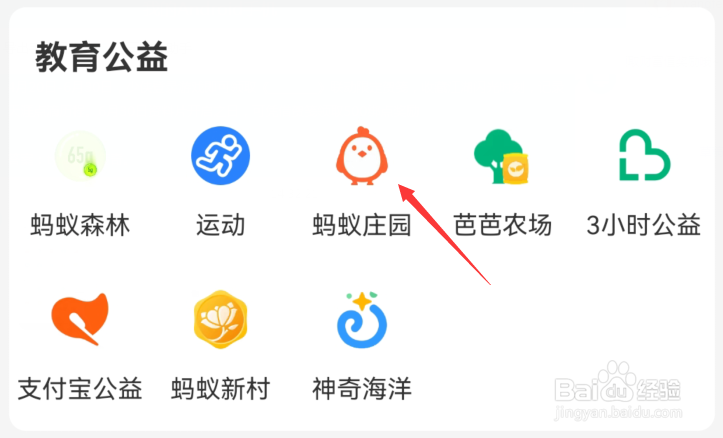 蚂蚁庄园:为什么壁虎可以飞檐走壁