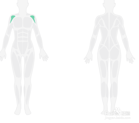 3D肩部轰炸训练