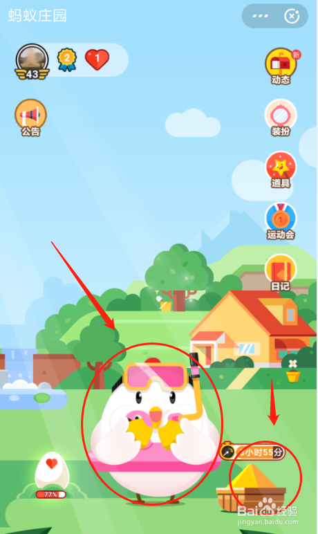 支付宝蚂蚁庄园快速养鸡攻略——1天两个蛋！