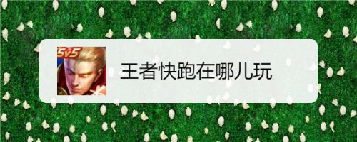 王者快跑在哪儿玩