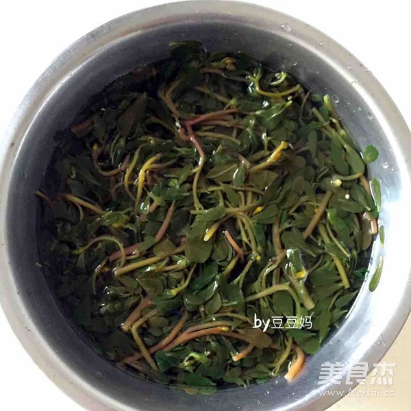 凉拌马齿苋的做法