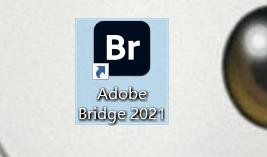 bridge如何开启收藏夹中的文档#校园分享#
