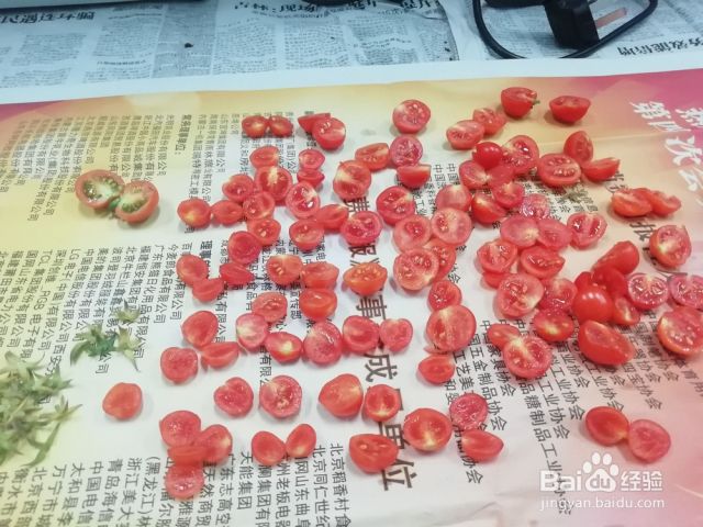 怎样收获番茄种子？