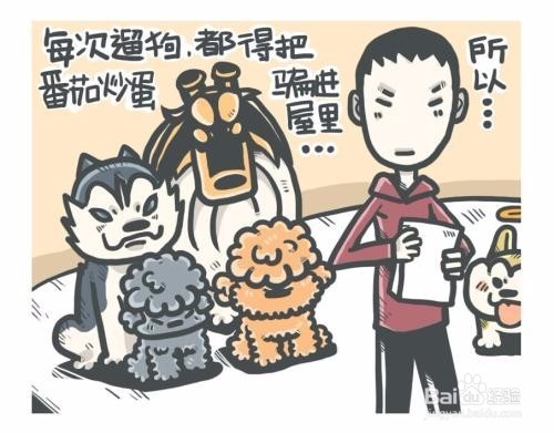 支付宝被骗6000怎么办