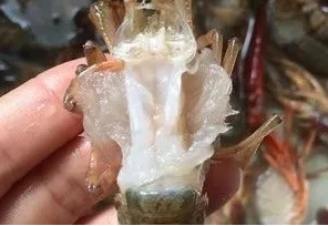 怎么巧做小龙虾？