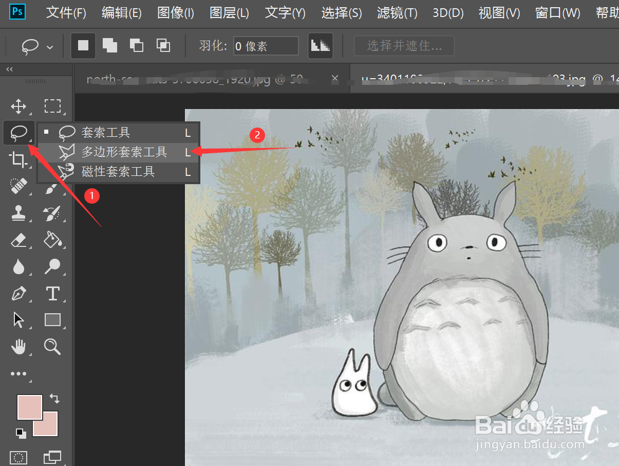 如何在ps中使用套索类工具