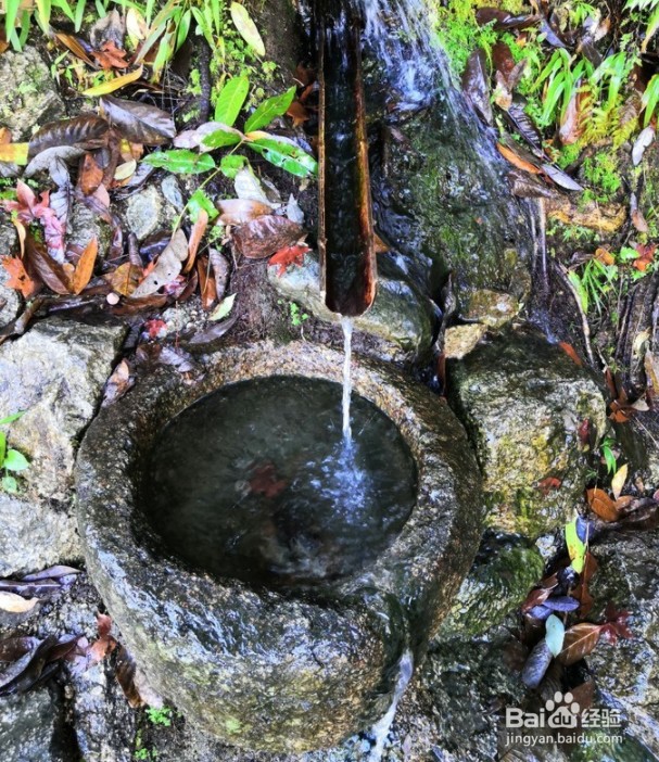 九宫山滑雪自驾游攻略